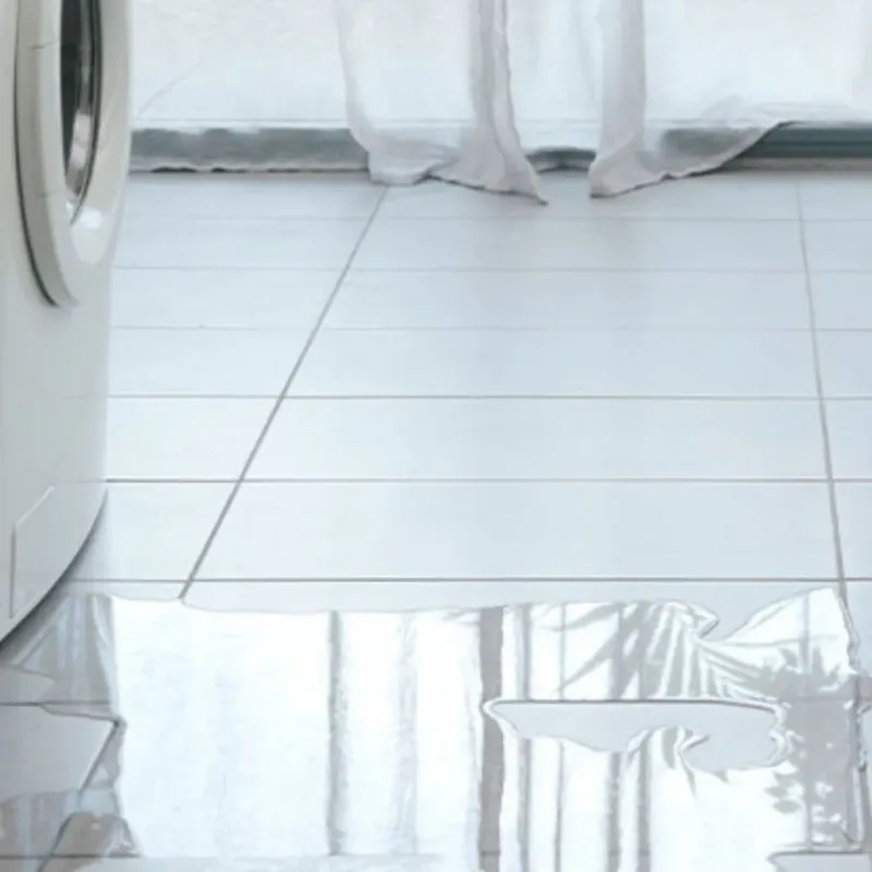 Appliance Leak Cleanup in Naranja, FL